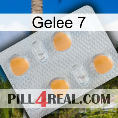 Jelly 7 24